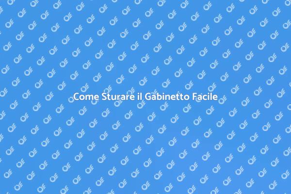 Soluzioni per Sturare il Gabinetto