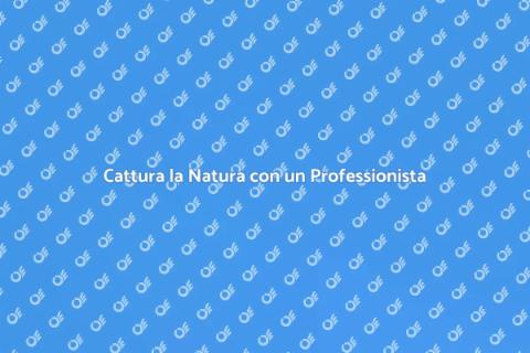 Ingaggiare un Fotografo Naturalista