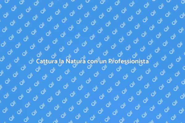 Trasforma i tuoi ricordi in Arte