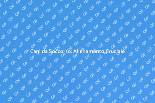 Cani da Soccorso: Importanza e Allenamento
