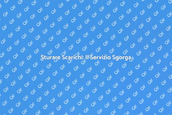 Sgorga: La Soluzione per Scarichi Intasati