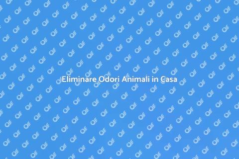 Rimuovere Odori Animali Domestici