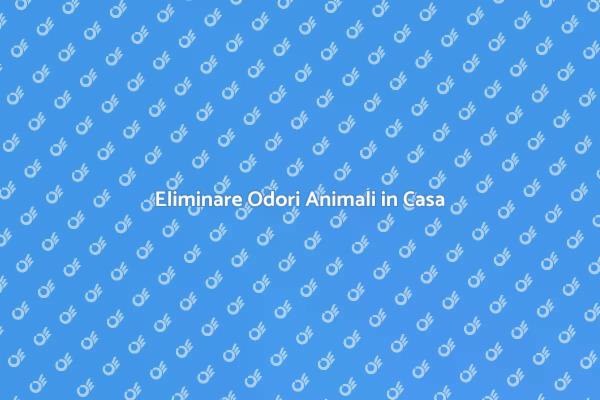 Come Rimuovere Odori di Animali Domestici