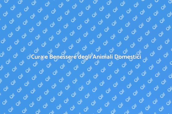 Prendersi Cura degli Animali Domestici