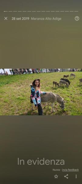 Chiara l. M. - Foto 1