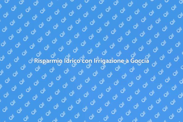 Irrigazione a Goccia: Un Giardino Verde