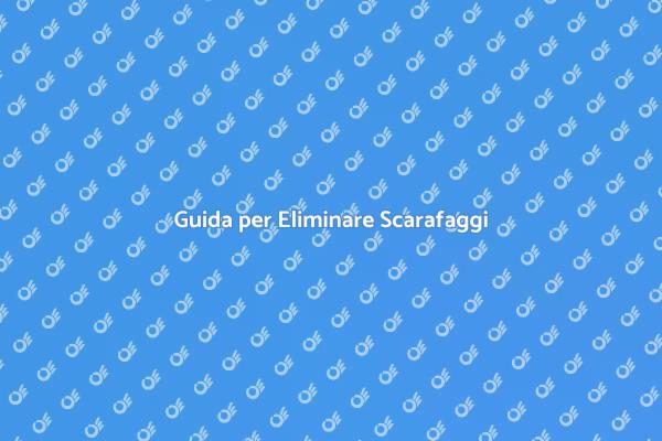 Proteggi la Tua Salute dai Scarafaggi