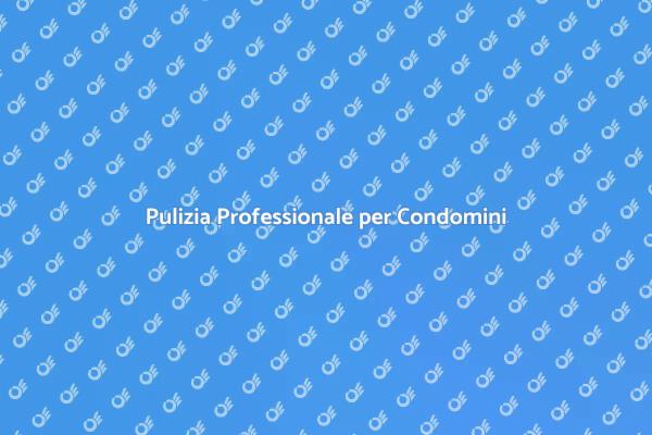 Condomini Sempre Puliti con Ernesto