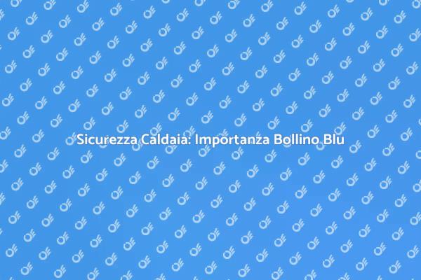 Bollino Blu: La Sicurezza della Caldaia