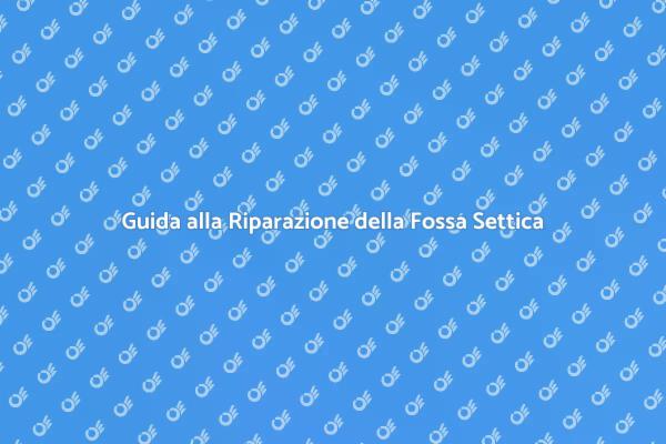 Riparazione Efficace della Fossa Settica