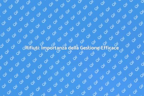 Gestione Rifiuti: Responsabilità Collettiva