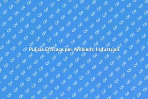 Pulizia Professionale per Strutture