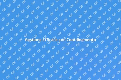 Coordinamento Personalizzato per Progetti