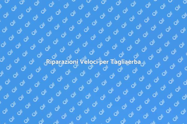 Servizio Efficiente di Riparazione Tagliaerba