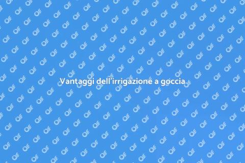 Irrigazione a goccia per giardini