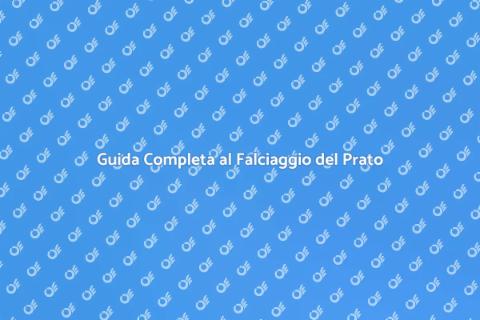 Falciare il Prato: Guida alla Cura Verde