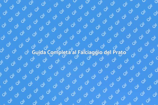 Come Falciare il Prato Perfettamente