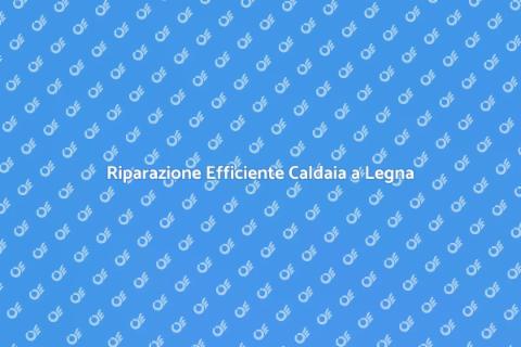 Diagnosi e Riparazione Caldaia Legna