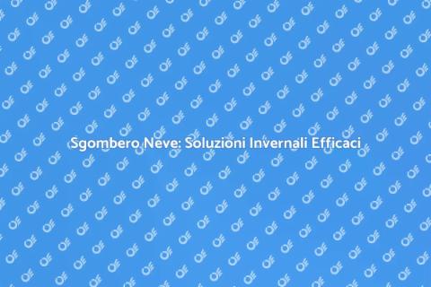 Sgombero Neve: Sistema Efficiente