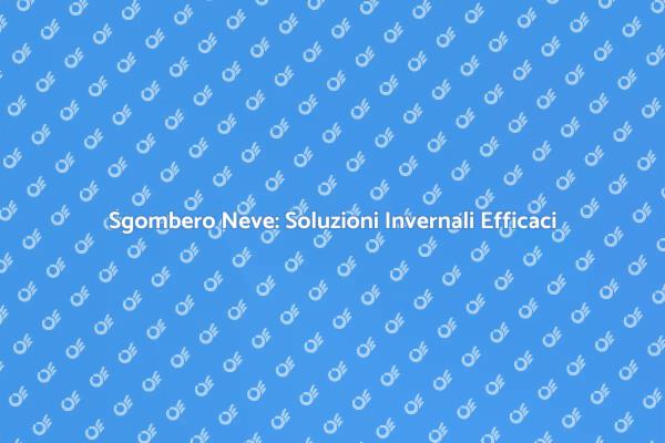 Affronta l'Inverno con Sgombero Neve Efficiente
