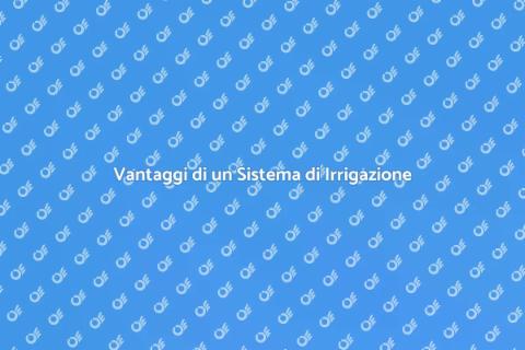 Sistema Irrigazione per Giardini Efficiente