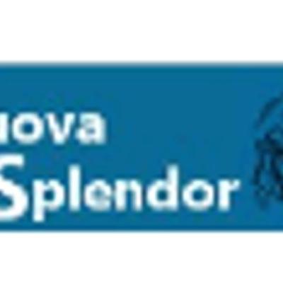Nuova Splendor Impresa di Pulizie e Disinfestazione