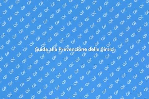 Prevenire le Cimici da Viaggio