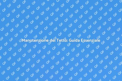 Manutenzione e Pulizia del Tetto