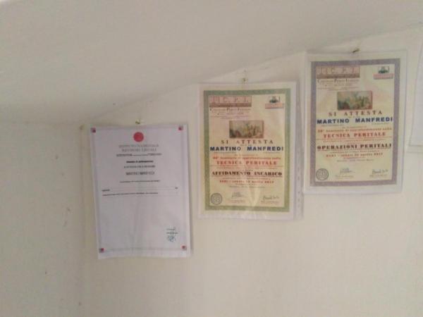 A.V.I.S. ARTEIMPIANT S. - Foto 21