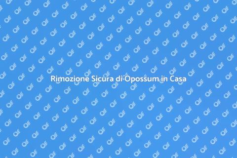 Rimuovere Opossum: Guida Pratica