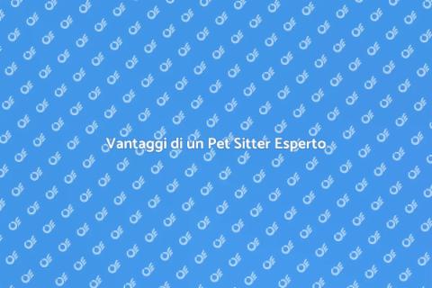 Pet Sitter Professionista per i Tuoi Animali