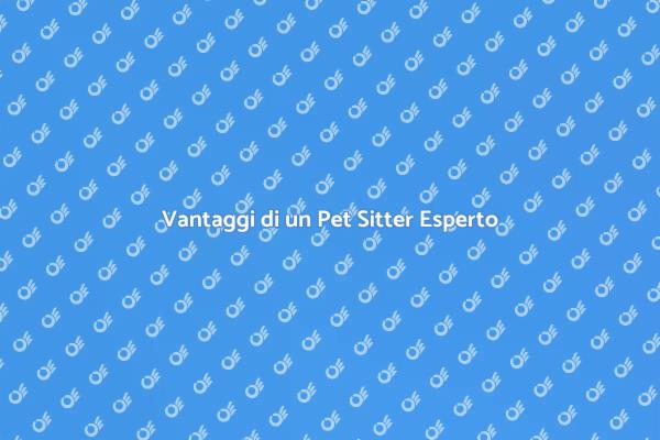 Perché Scegliere un Pet Sitter Professionista