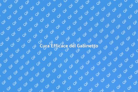 Manutenzione Scarico Gabinetto