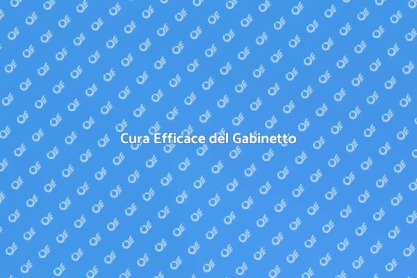 Manutenzione Meccanismo di Scarico
