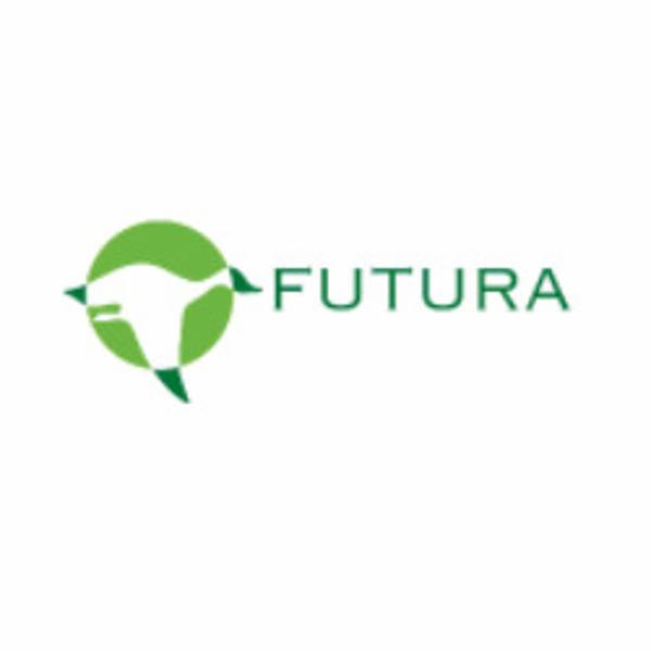 Impresa di Pulizie Futura Soc. Coop.  - Foto 1