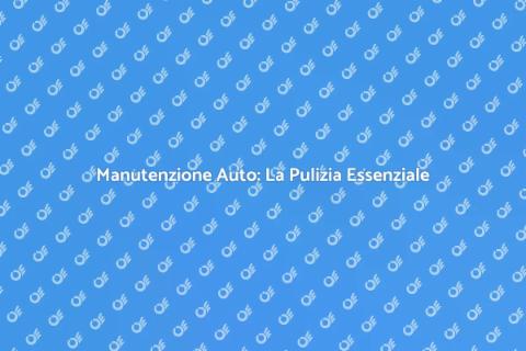 Pulizia Veicoli: Cura e Valore