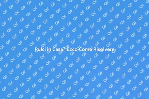 Controllo delle Pulci: Soluzioni Efficaci