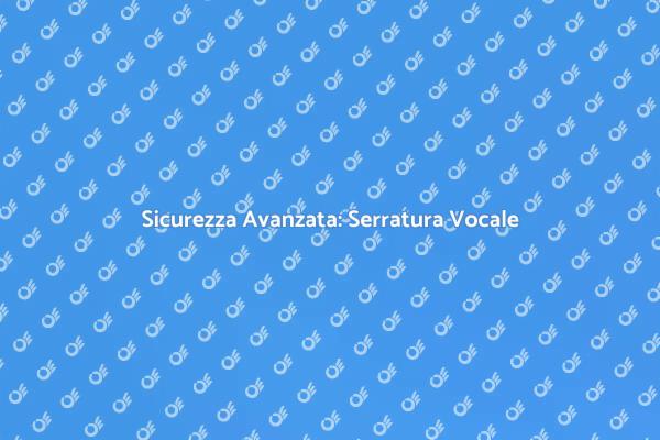 Innovazione: Serratura con Voce
