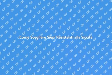 Piante da Siepe Resistenti alla Siccità