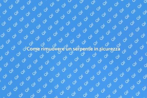 Rimuovere un serpente: guida utile
