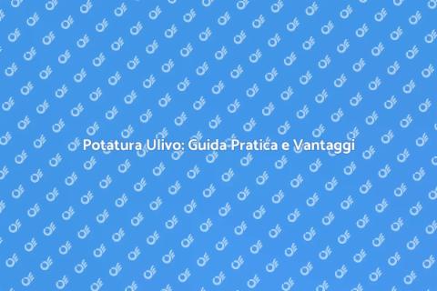 Potatura Olivo: Arte e Tecnica Essenziale