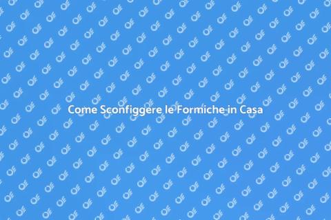 Sterminatore di Formiche: Guida Completa