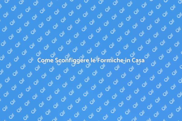 Sterminare le Formiche: Soluzioni Pratiche