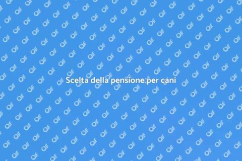 Pensione per cani: le migliori opzioni