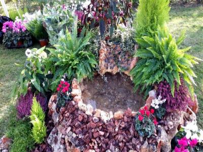 Il Bocciolo  - Foto 3
