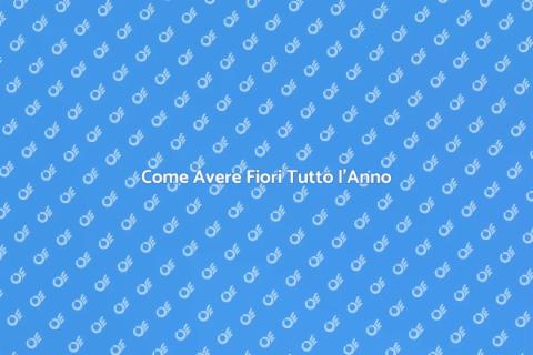 Giardino Fiorito Tutto l'Anno