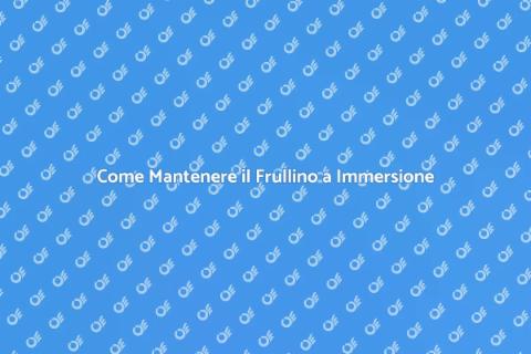 Manutenzione Frullino a Immersione