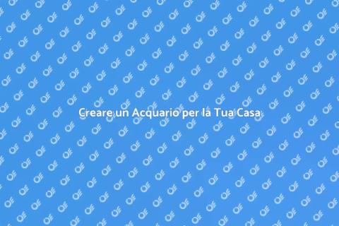 Installazione Acquario Personale