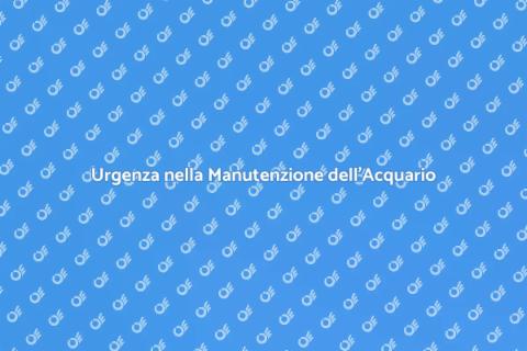 Manutenzione Urgente Acquario: Guida
