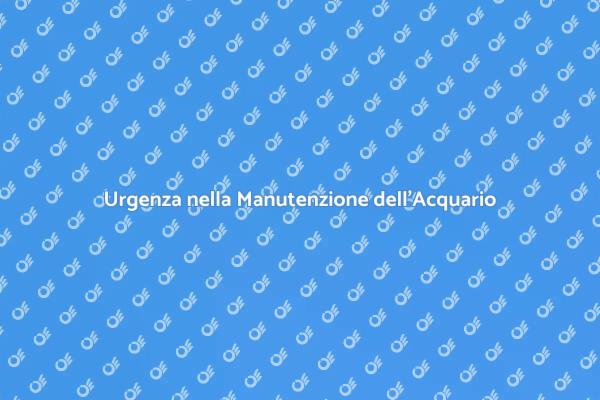 Manutenzione Acquario: Cosa Fare Subito
